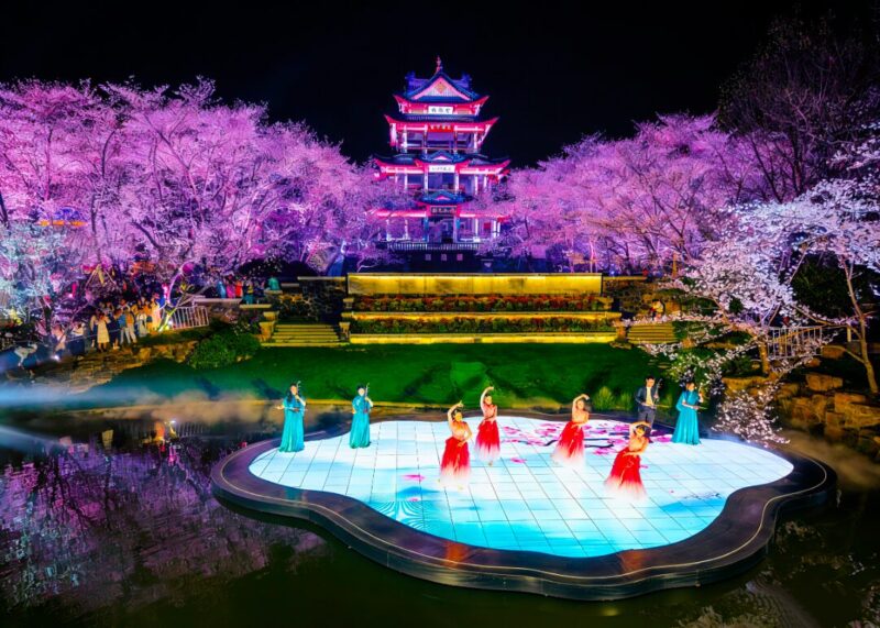 樱花牵锡港、春韵满江南，无锡鼋头渚国际樱花节在香港全球发布!