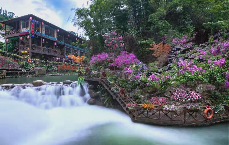 春分时节粤港澳大湾区赏花热潮：港澳居民北上打卡热门线路