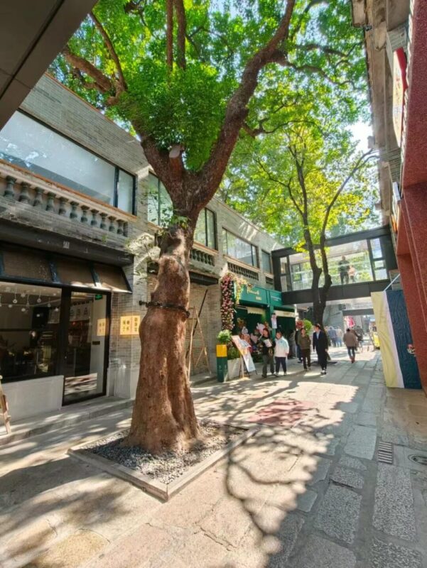 书坊街焕新:三百年旧街成广州慢生活新去处