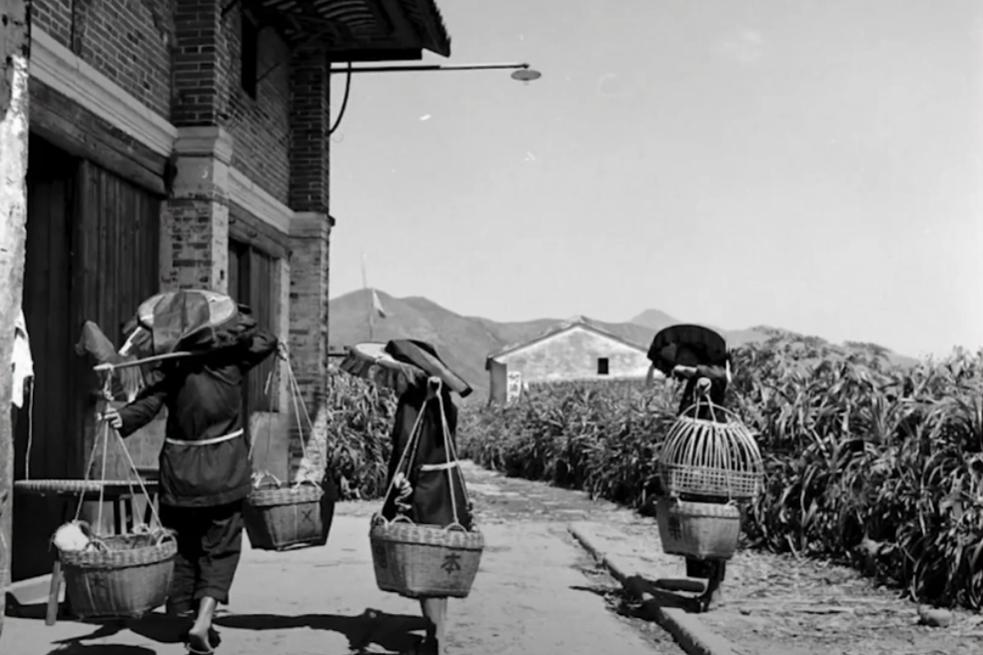 被遗忘咸丰同治年间广东土客大械斗