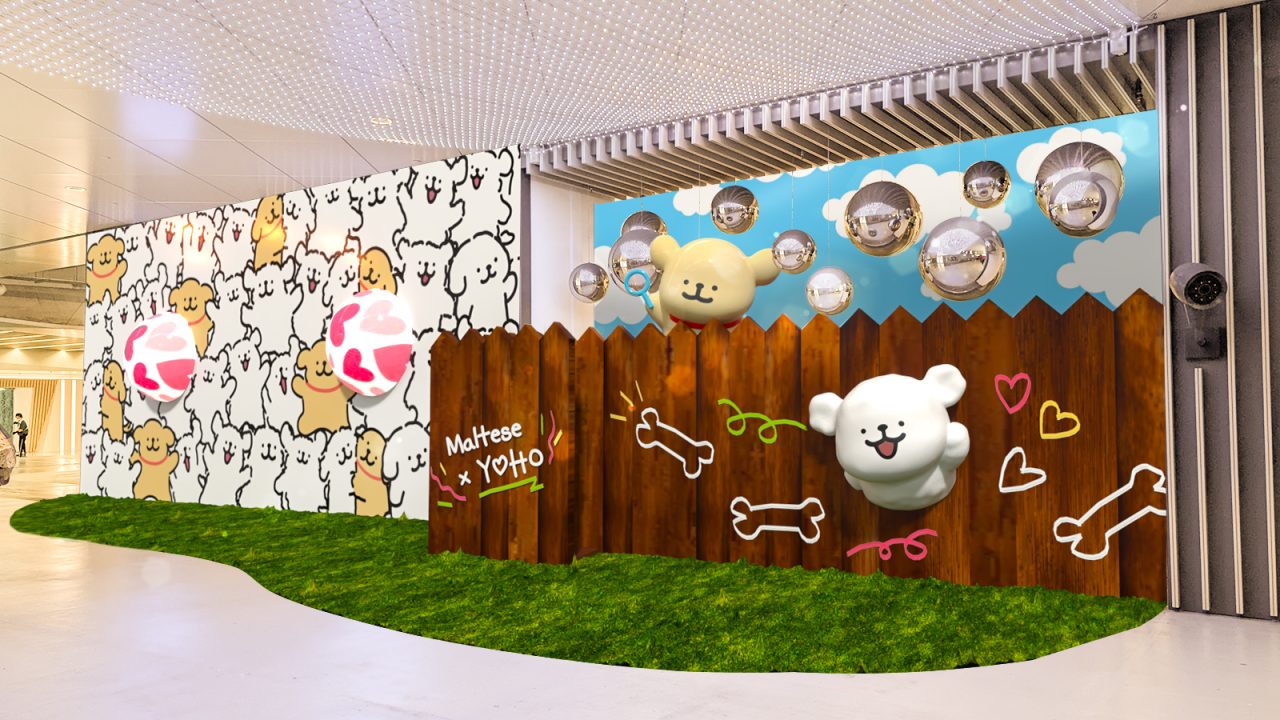 线条小狗首登香港!MALTESE X YOHO 夏日心友会暑假必到