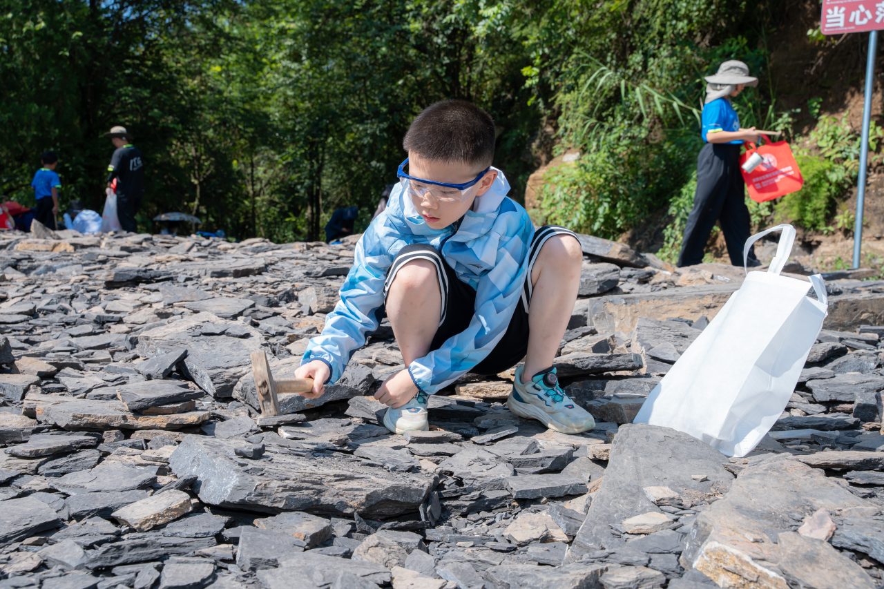 TJL06594.jpg TJL06594.jpg